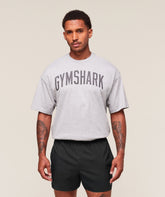 Worn Graphic T-Shirt - Light Grey Core Marl