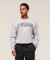 Worn Graphic Long Sleeve T-Shirt - Light Grey Core Marl