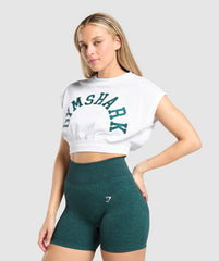 Mesh Graphic Crop Top - White