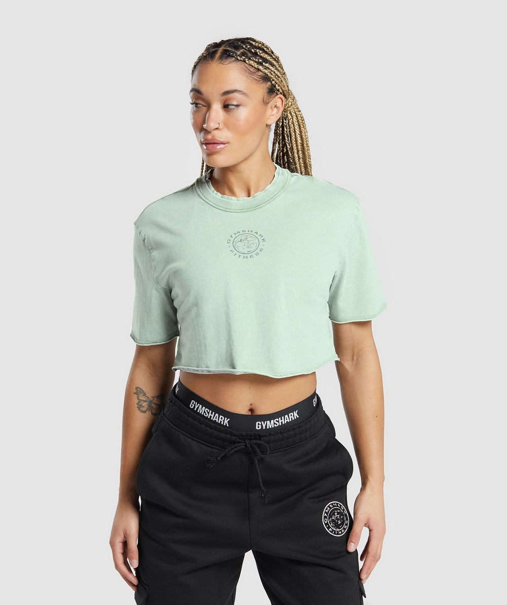 Legacy Washed Crop Top - Faded Green