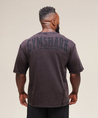 Heritage Washed T-Shirt - Plum Brown