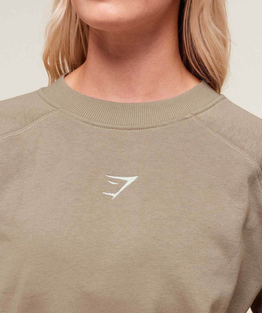 Training Oversized Fleece Sweatshirt - Lifestyle Brown
