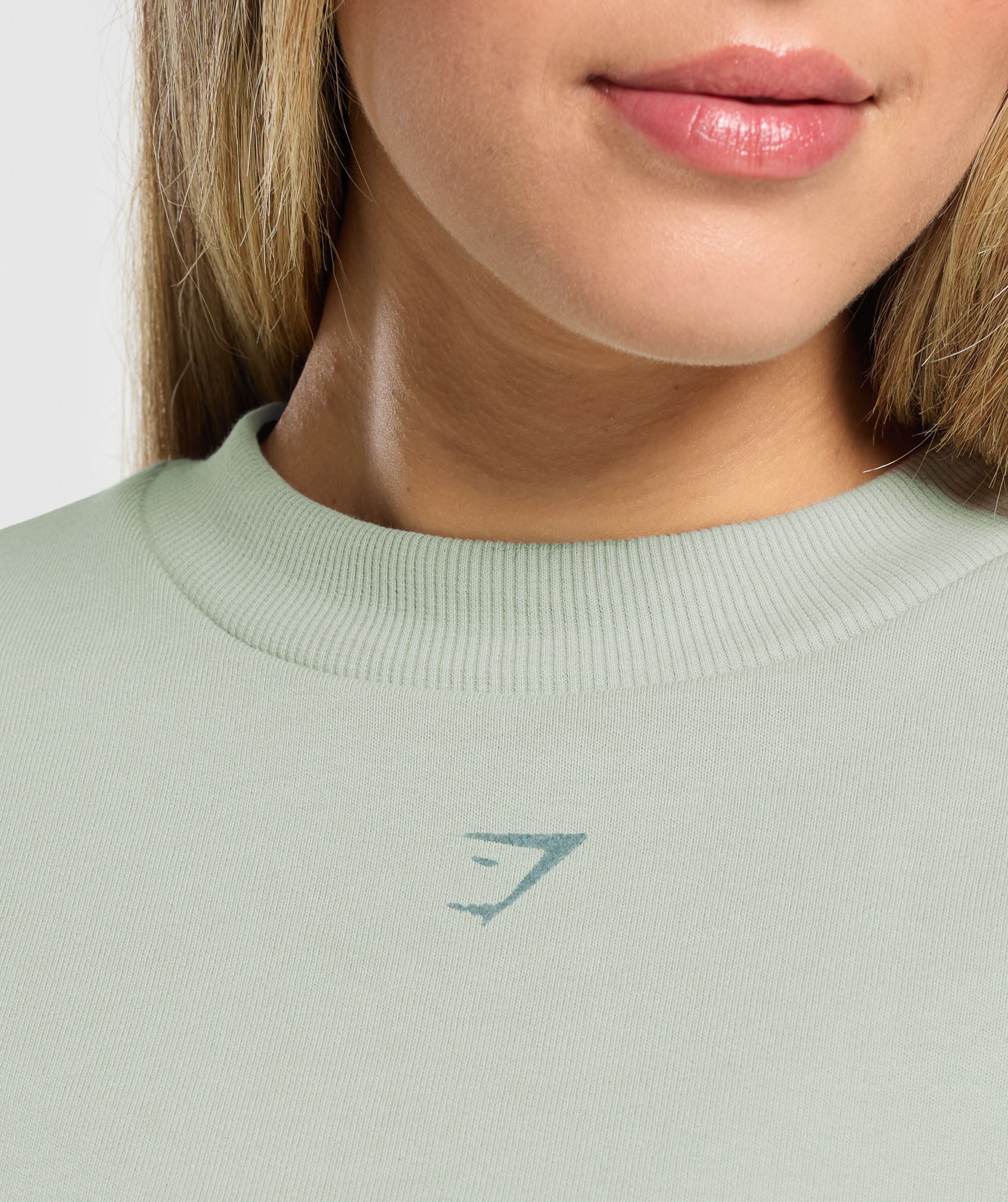Campus Classics Graphic Sweatshirt - Stone Grey