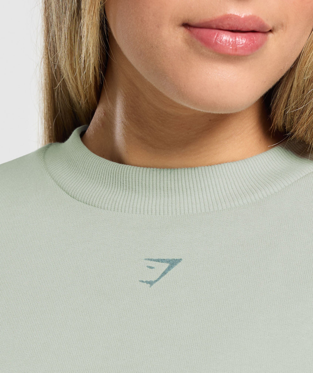 Campus Classics Graphic Sweatshirt - Stone Grey