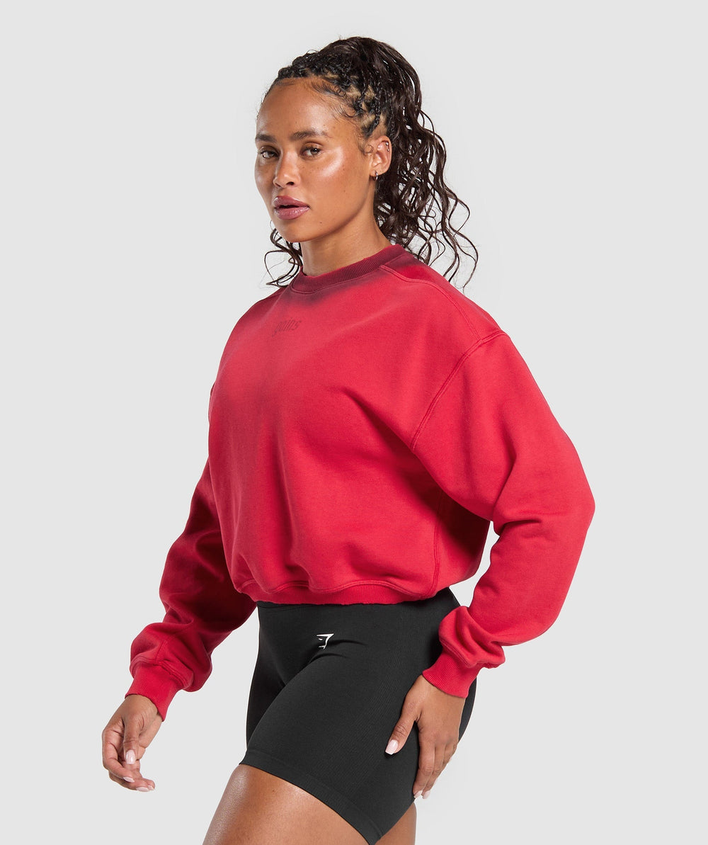 Gains Washed Loopback Crew Neck - Conditioning Red/Sets Red
