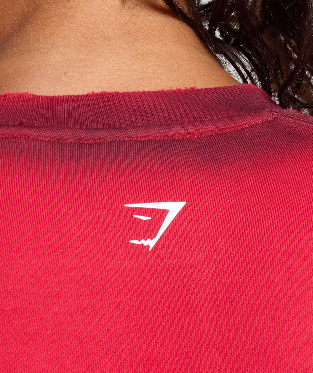Gains Washed Loopback Crew Neck - Conditioning Red/Sets Red