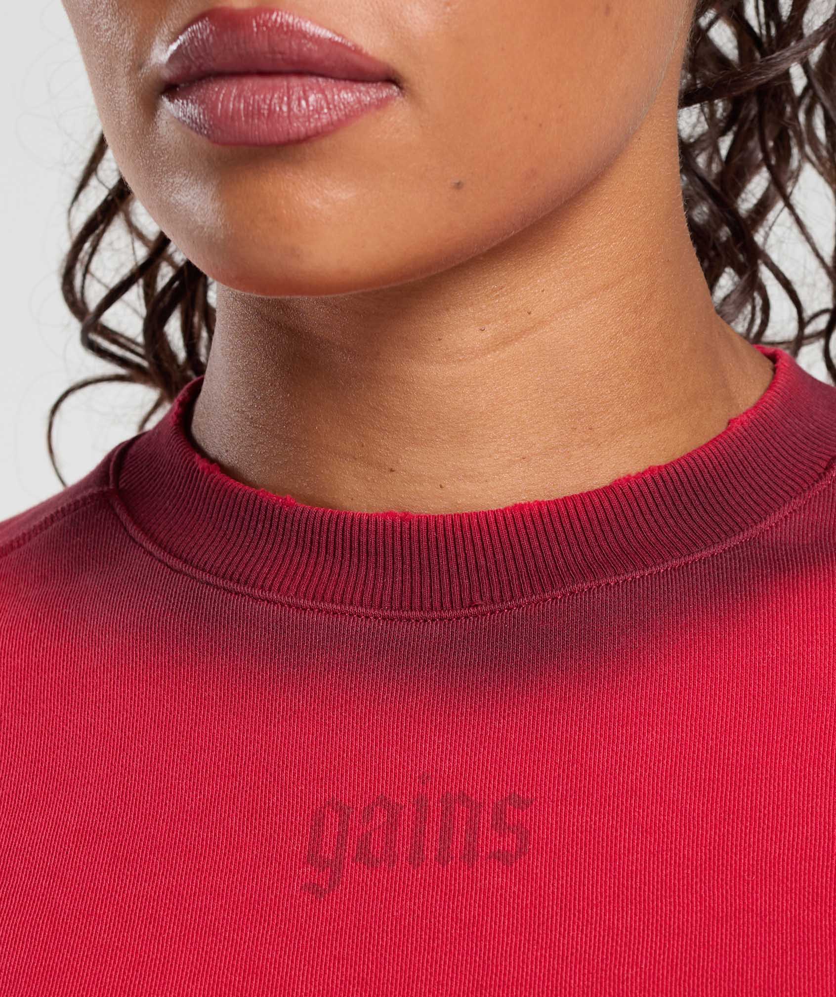 Gains Washed Loopback Crew Neck - Conditioning Red/Sets Red