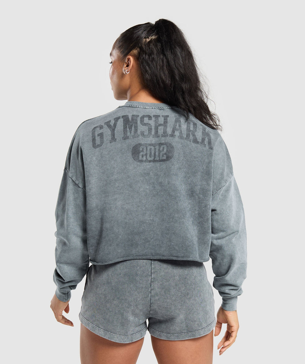 Collegiate Shadow Washed Midi Sweatshirt - Asphalt Grey