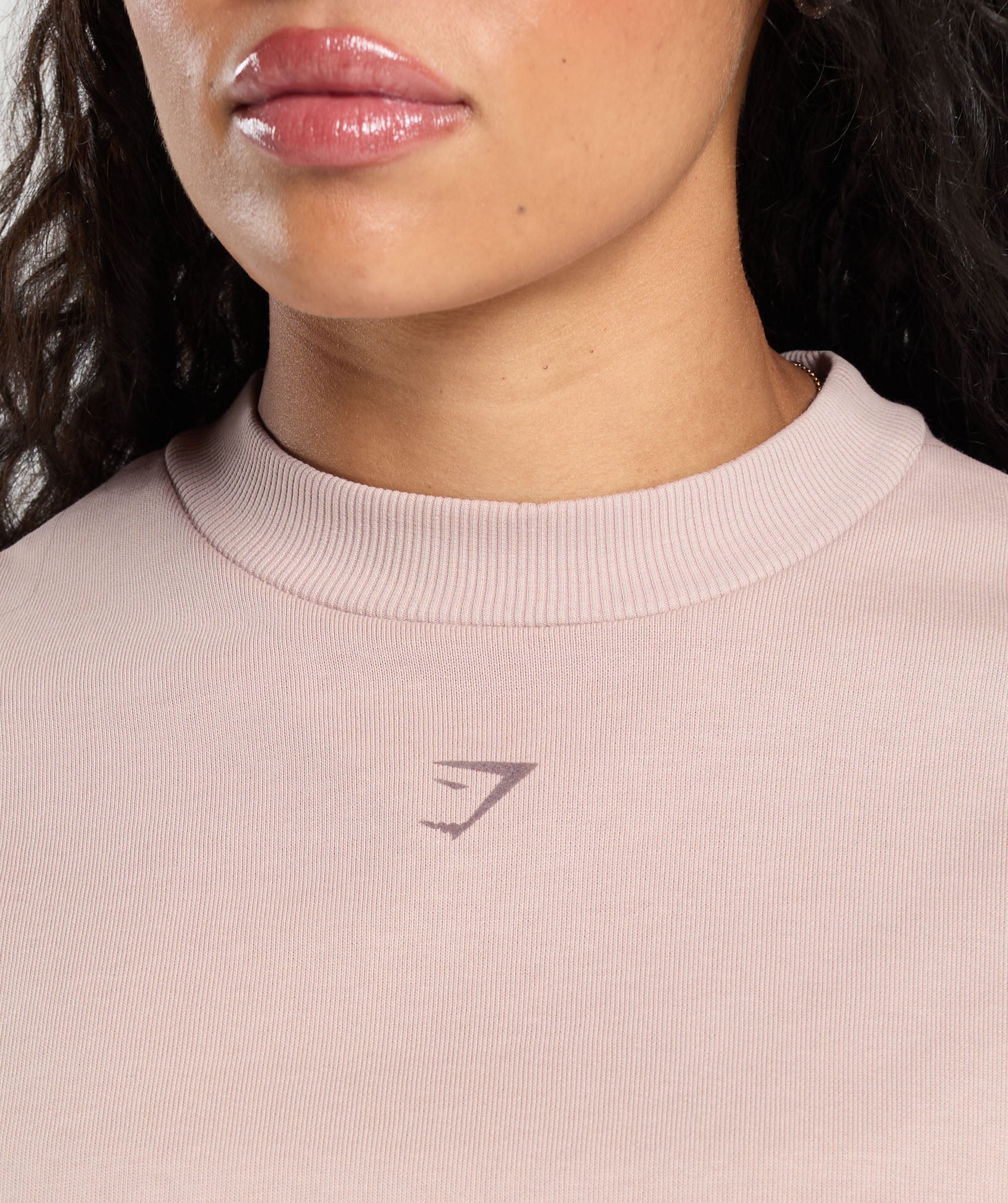 Campus Classics Graphic Sweatshirt - Muted Pink