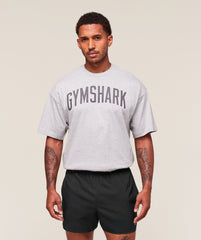 Worn Graphic T-Shirt - Light Grey Core Marl