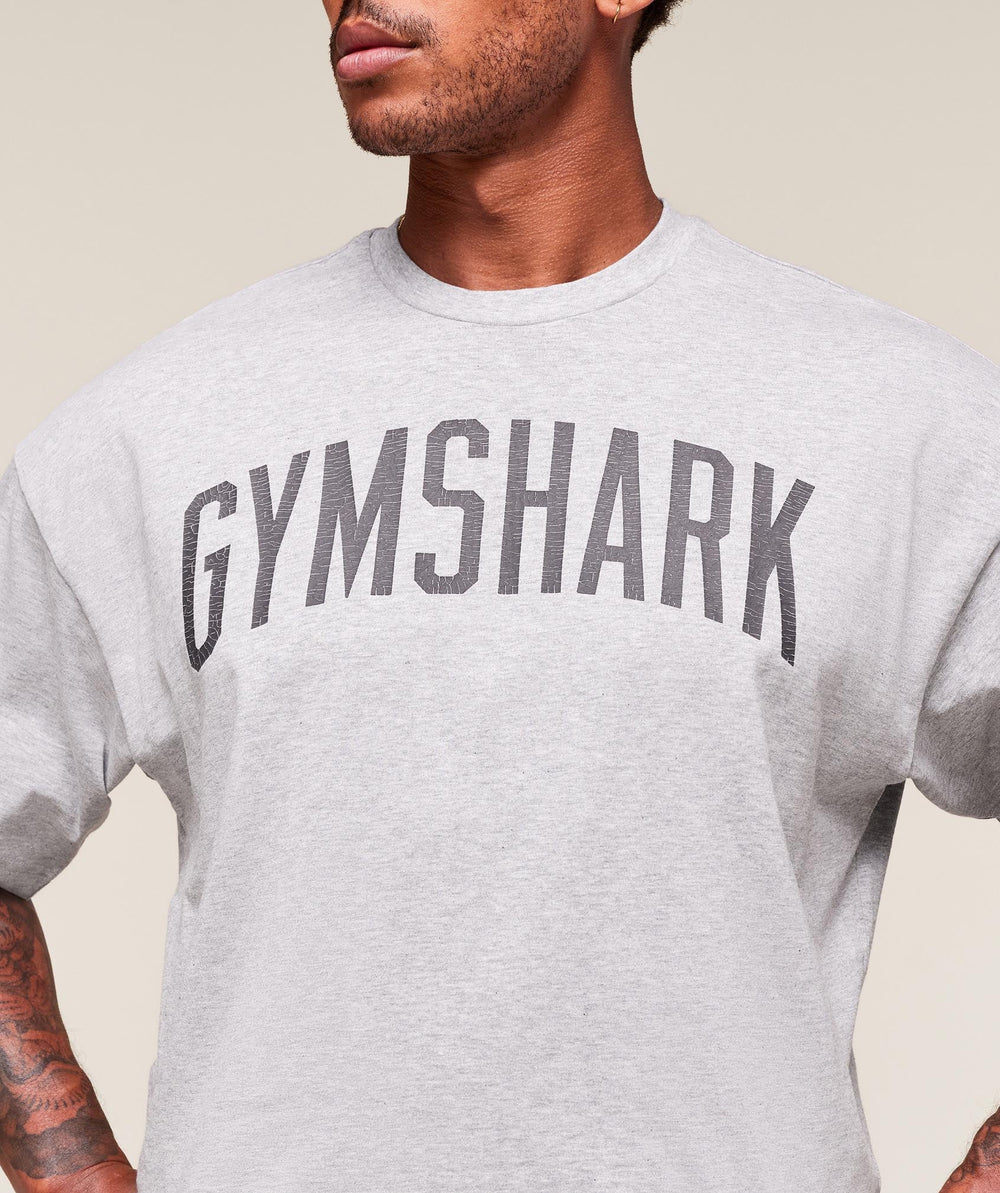 Worn Graphic T-Shirt - Light Grey Core Marl