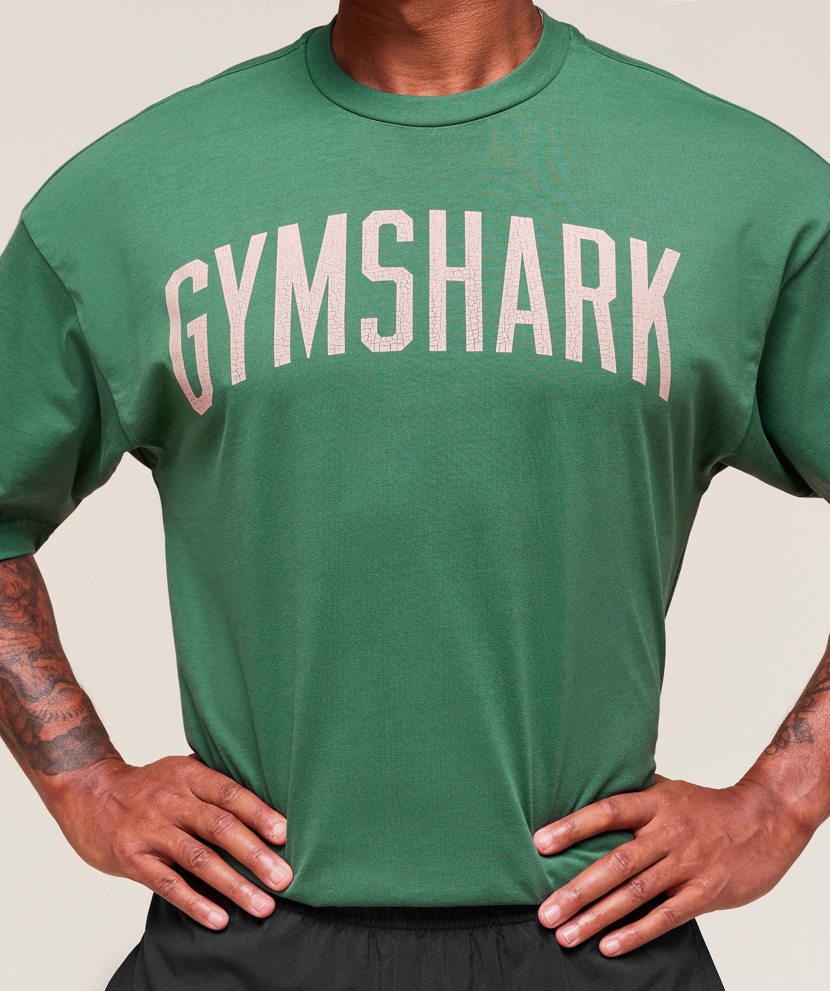 Worn Graphic T-Shirt - Lift Green