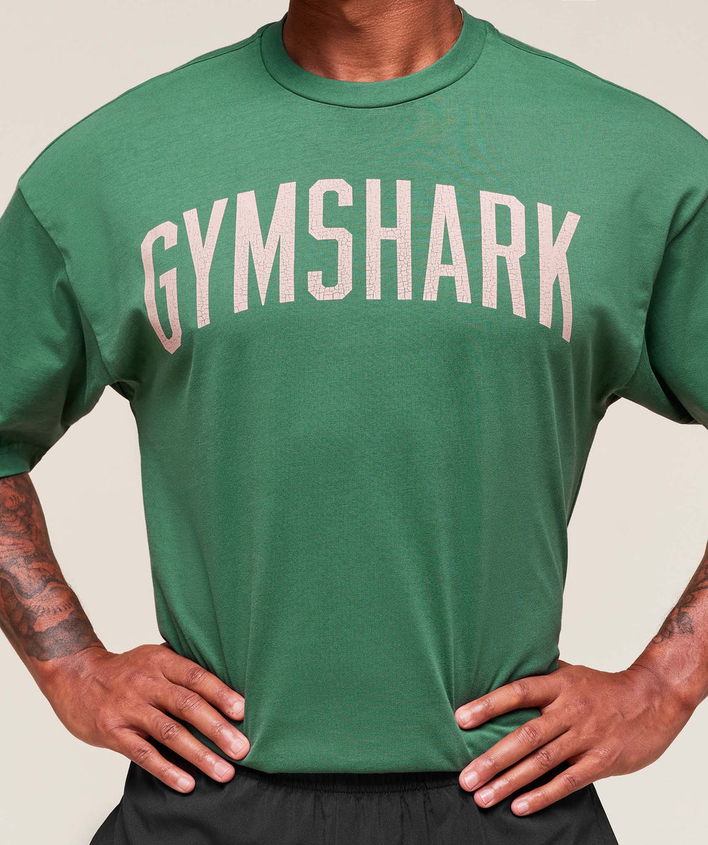 Worn Graphic T-Shirt - Lift Green