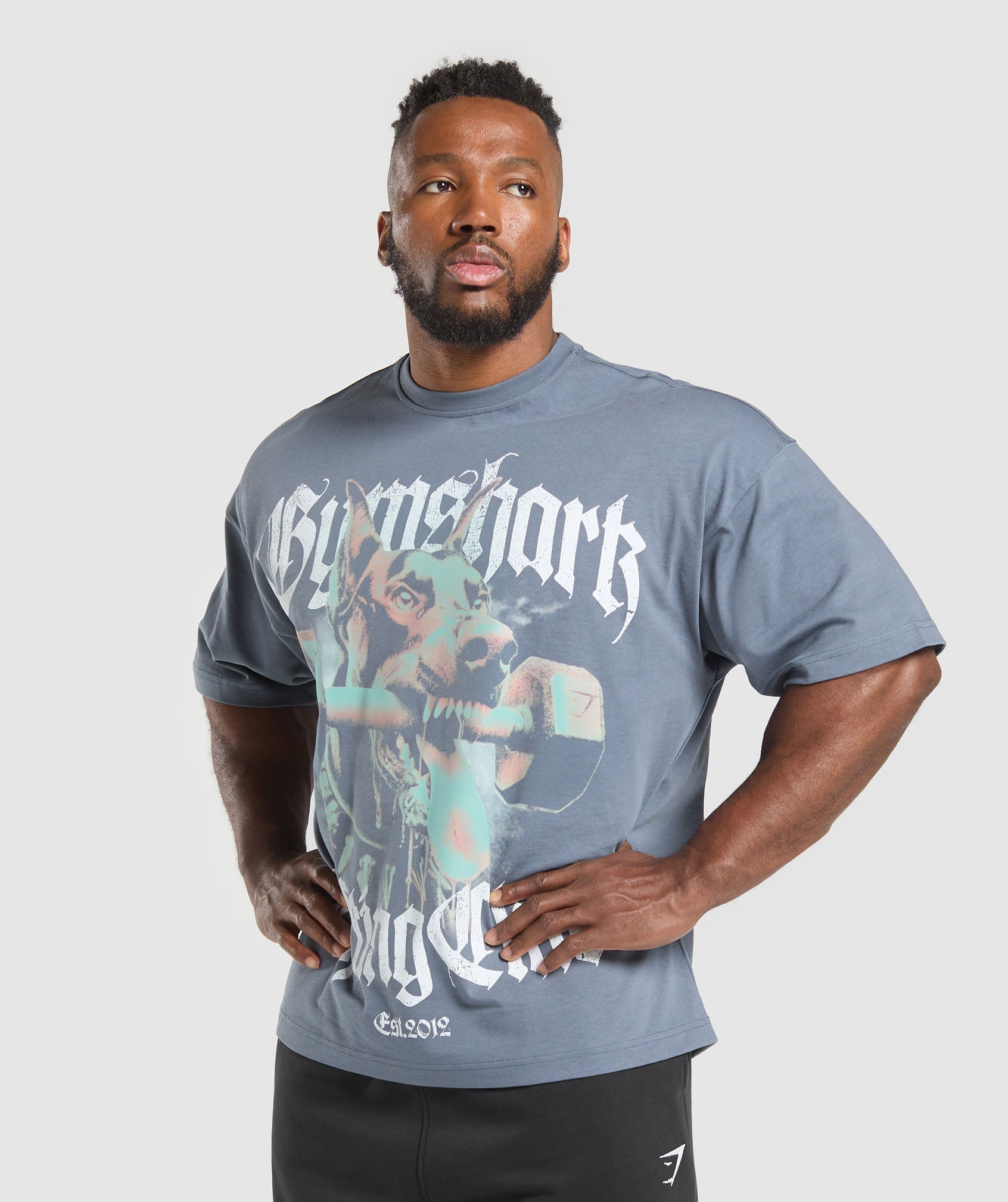 Doberman Graphic T-Shirt - Iron Blue