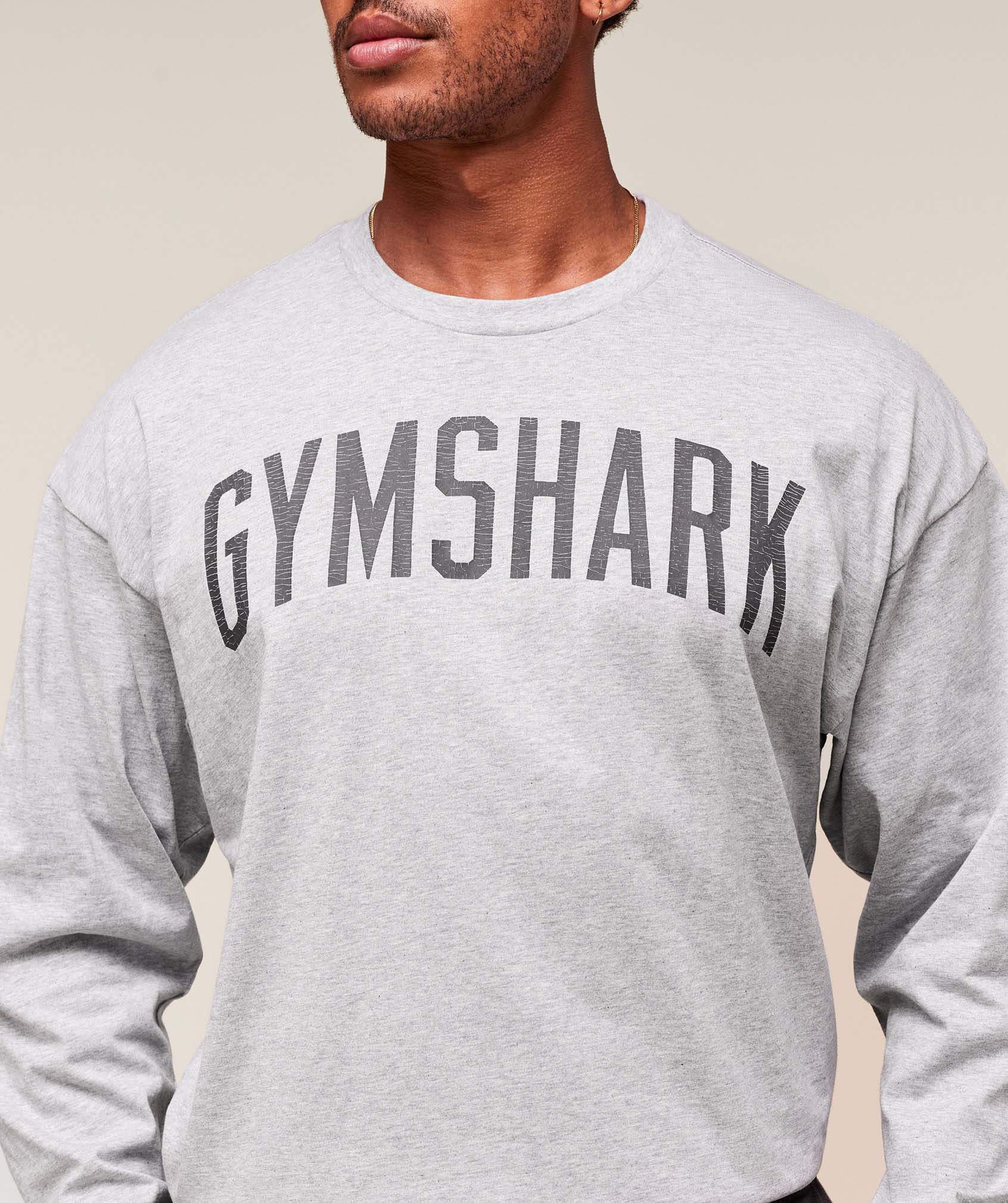 Worn Graphic Long Sleeve T-Shirt - Light Grey Core Marl
