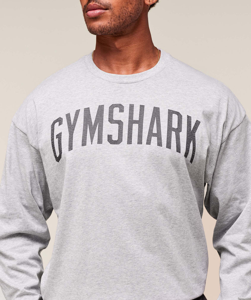 Worn Graphic Long Sleeve T-Shirt - Light Grey Core Marl