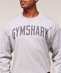 Worn Graphic Long Sleeve T-Shirt - Light Grey Core Marl