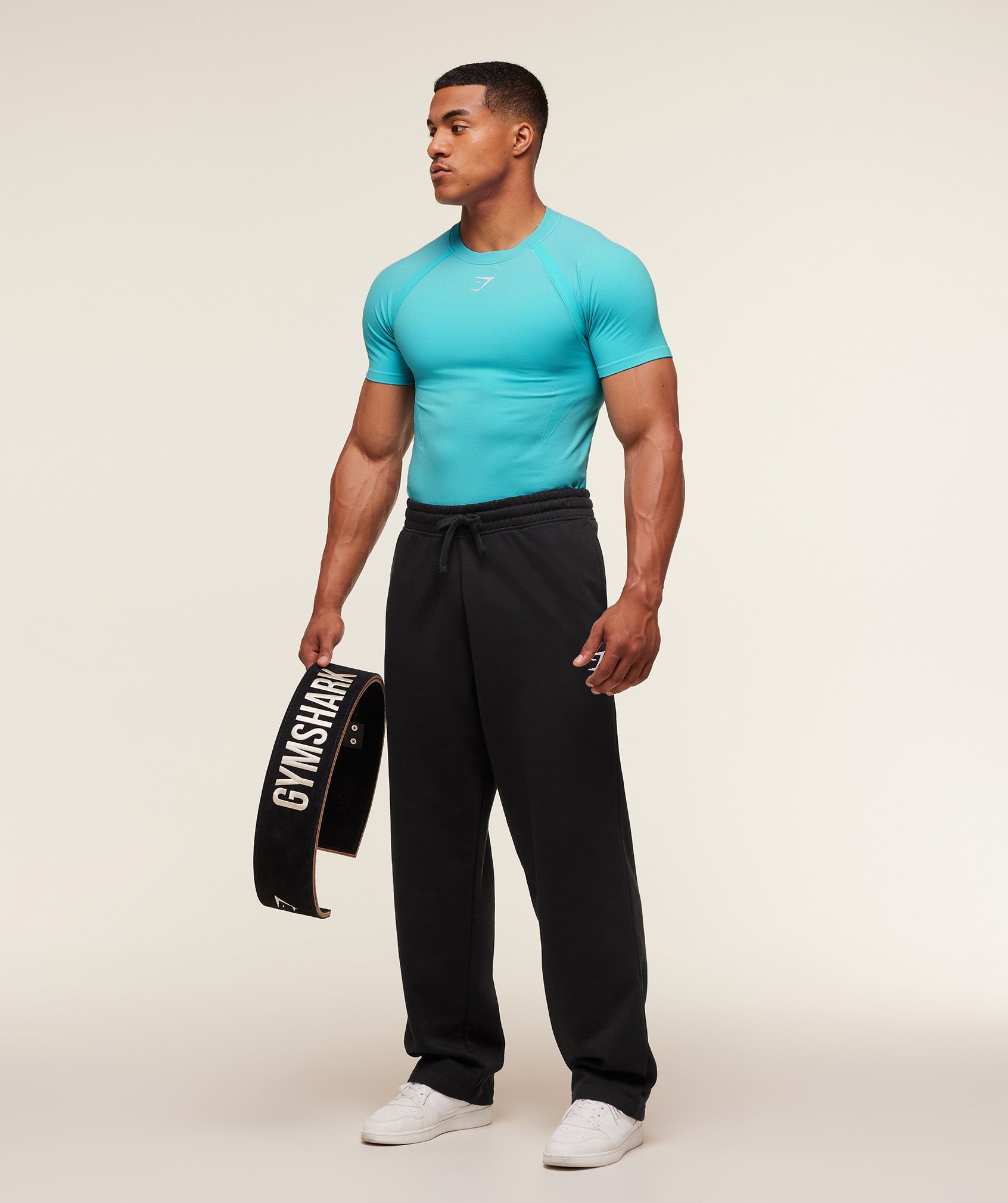 Shadow Seamless T Shirt - Brand Blue