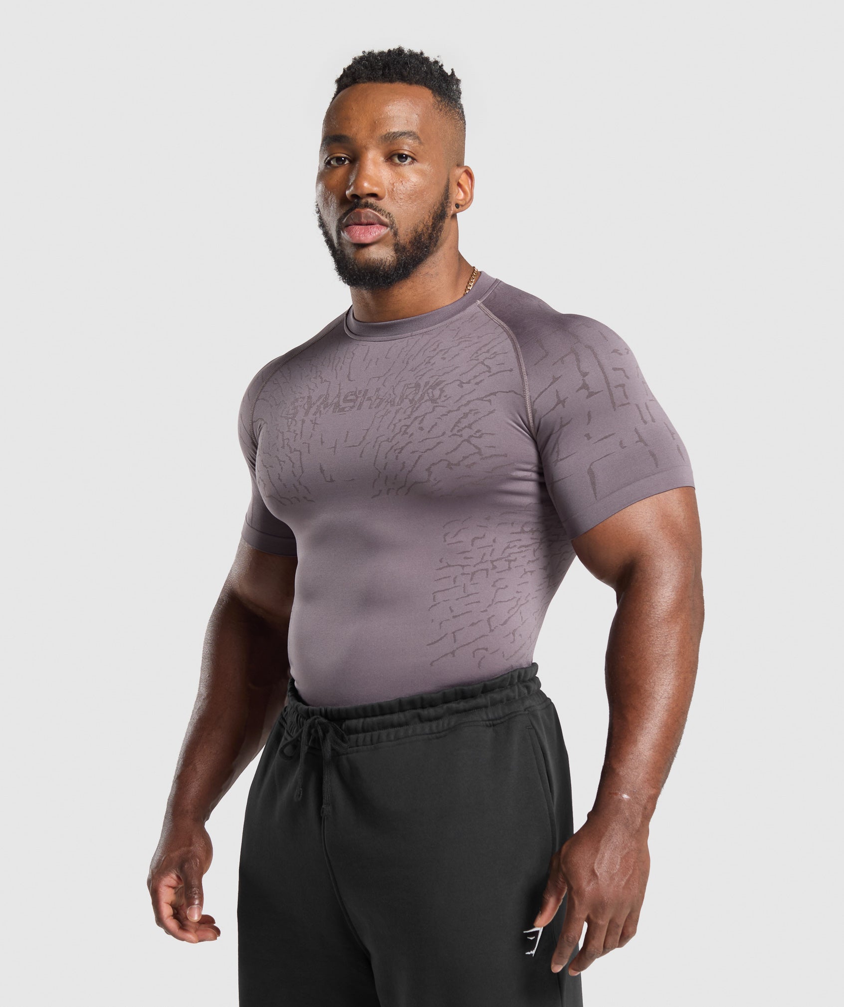 Tectonic Seamless T Shirt - Brushed Purple/Greyed Purple