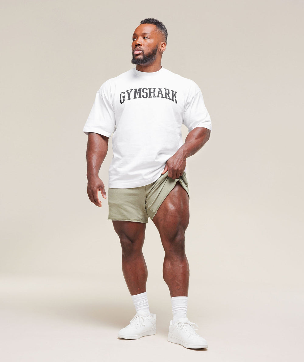 Heritage 5" Shorts - Stone Grey