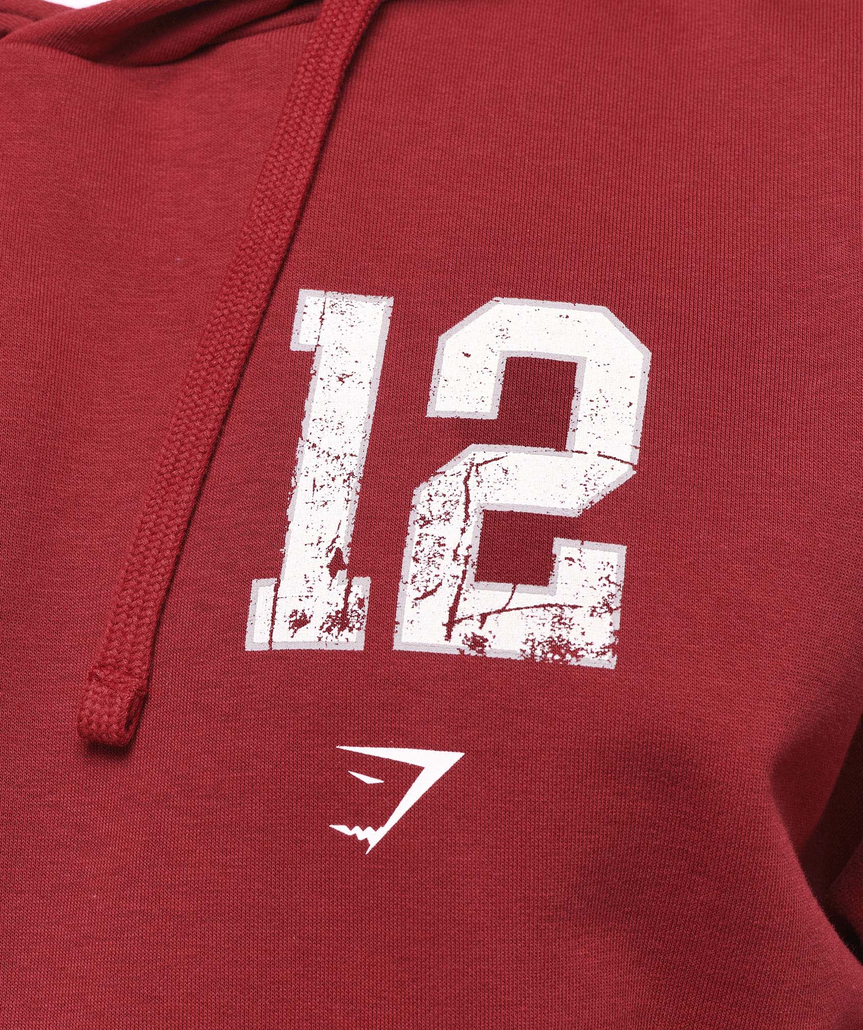 Collegiate Graphic Hoodie - Athletic Burgundy