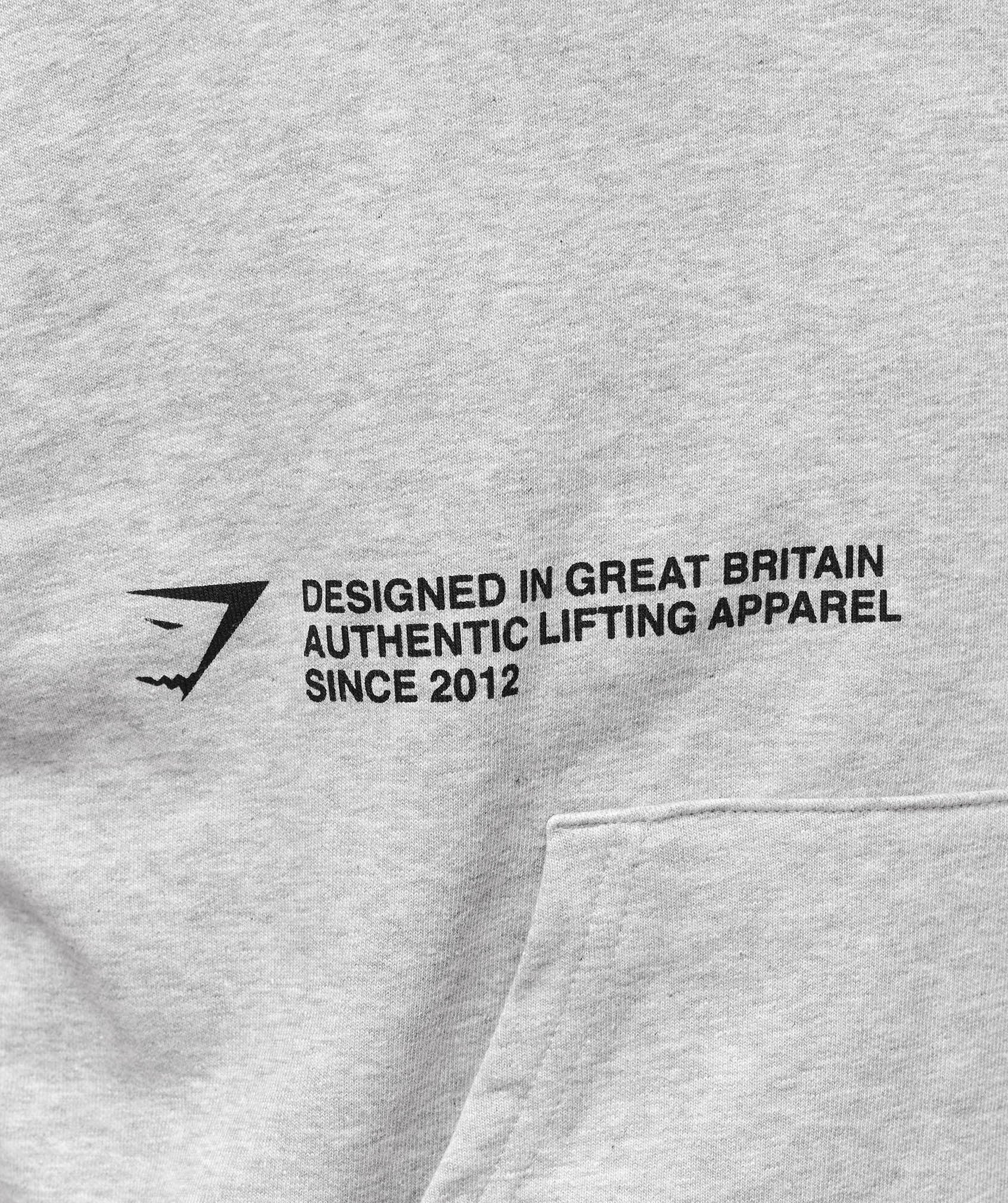 Authentic Lifting Apparel Hoodie - Light Grey Core Marl