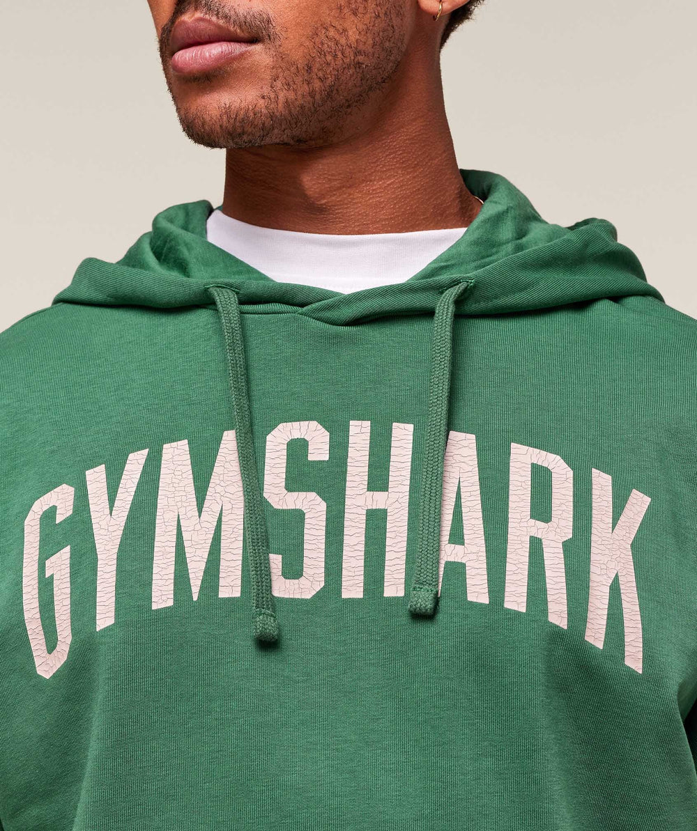 Worn Graphic Hoodie - Lift Green