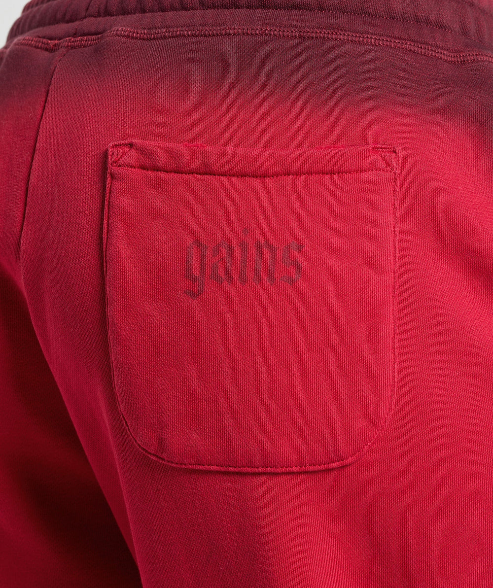 Gains Washed Loopback Joggers - Red