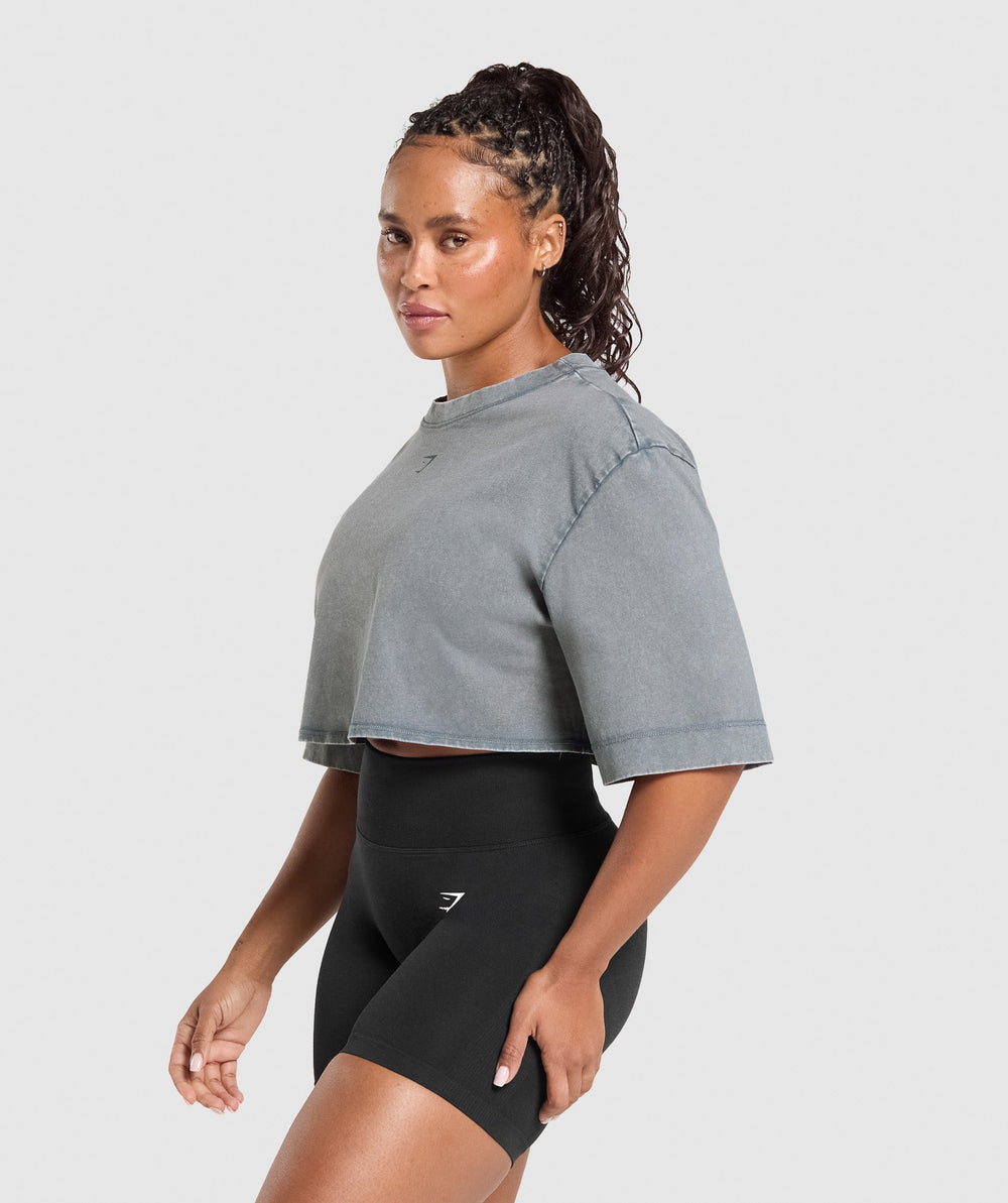GSLC Washed Graphic Crop Top - Iron Blue