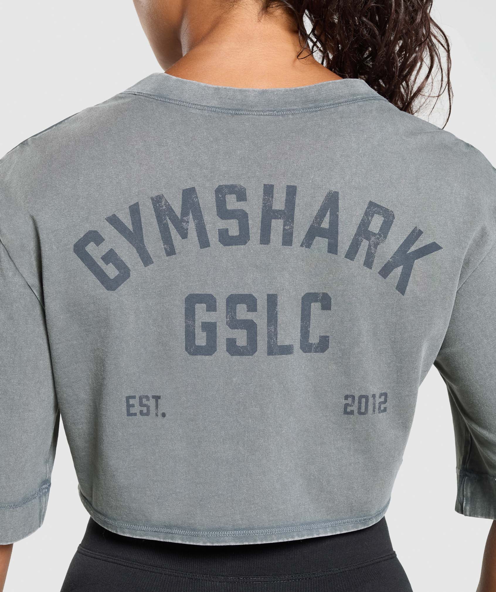 GSLC Washed Graphic Crop Top - Iron Blue