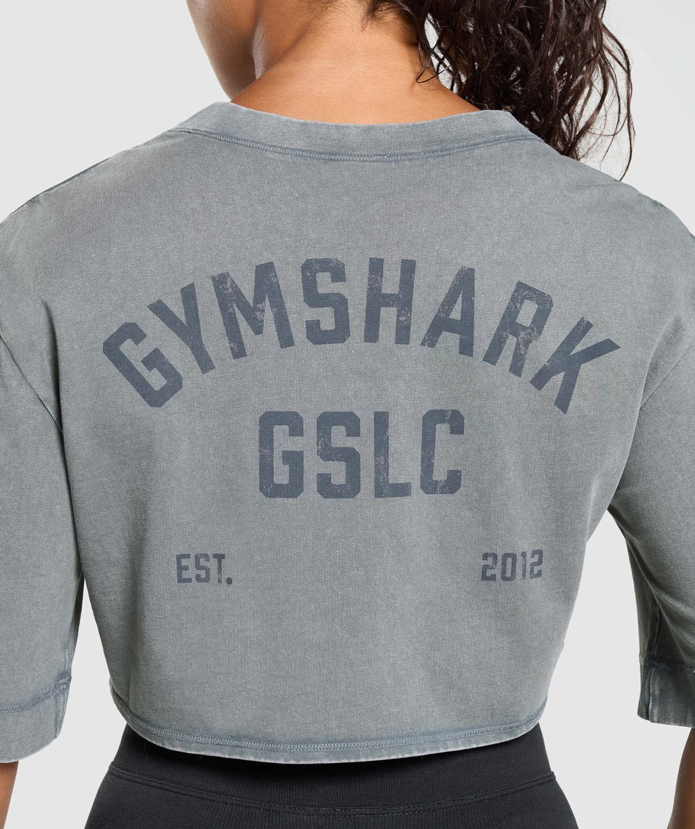 GSLC Washed Graphic Crop Top - Iron Blue