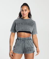 Collegiate Shadow Washed Crop Top - Asphalt Grey