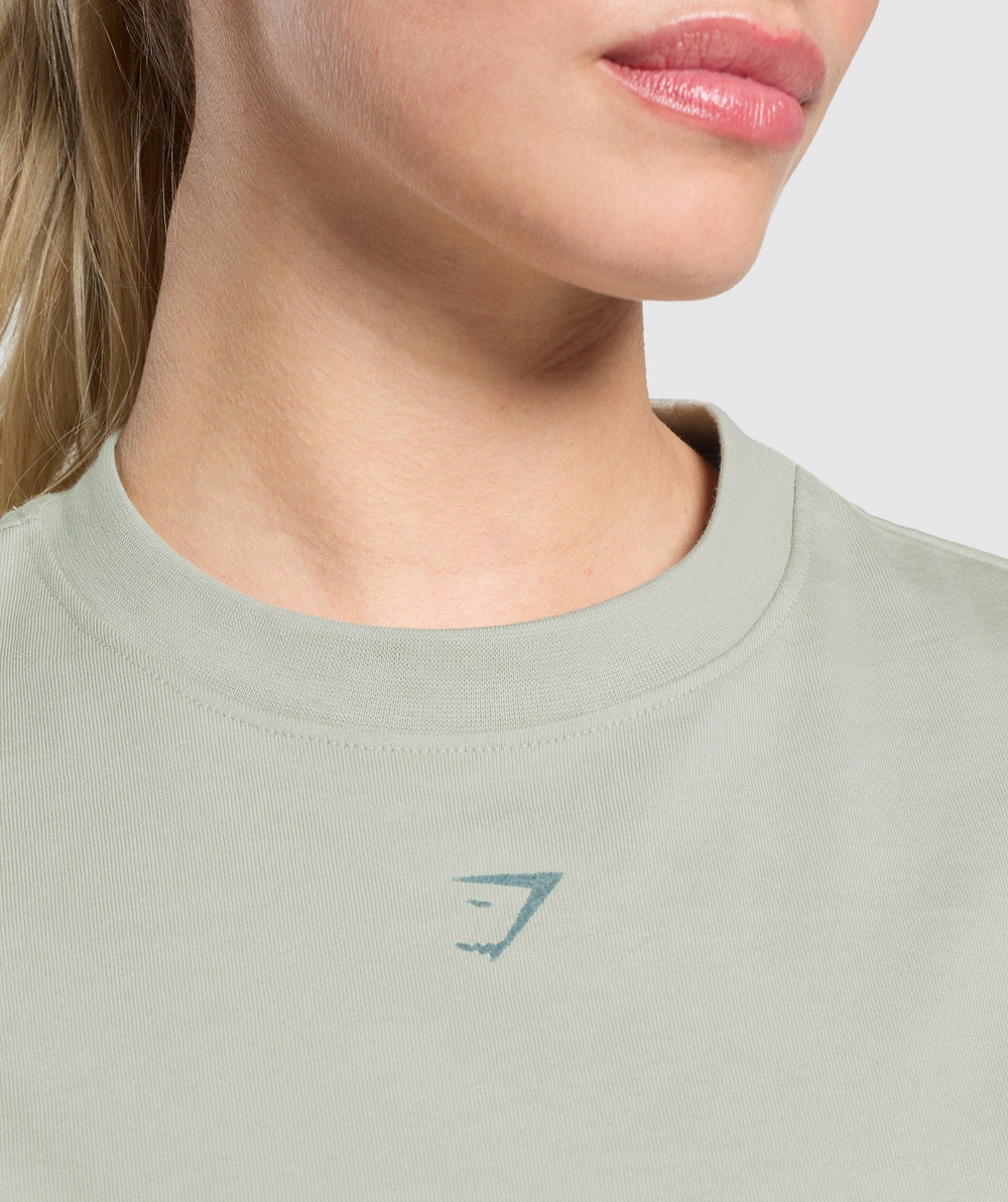Campus Classics Graphic T-Shirt - Stone Grey