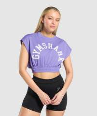 Mesh Graphic Crop Top - Record Purple