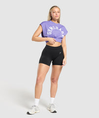 Mesh Graphic Crop Top - Record Purple