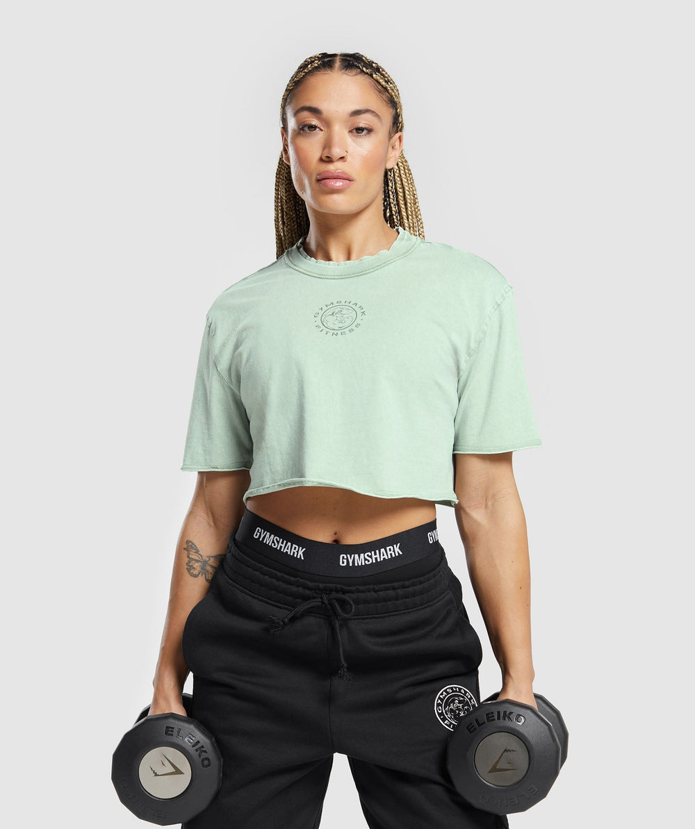 Legacy Washed Crop Top - Faded Green