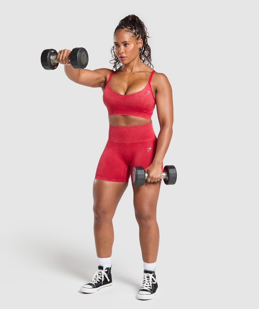 Gains Seamless Washed Sports Bra - Carmine Red