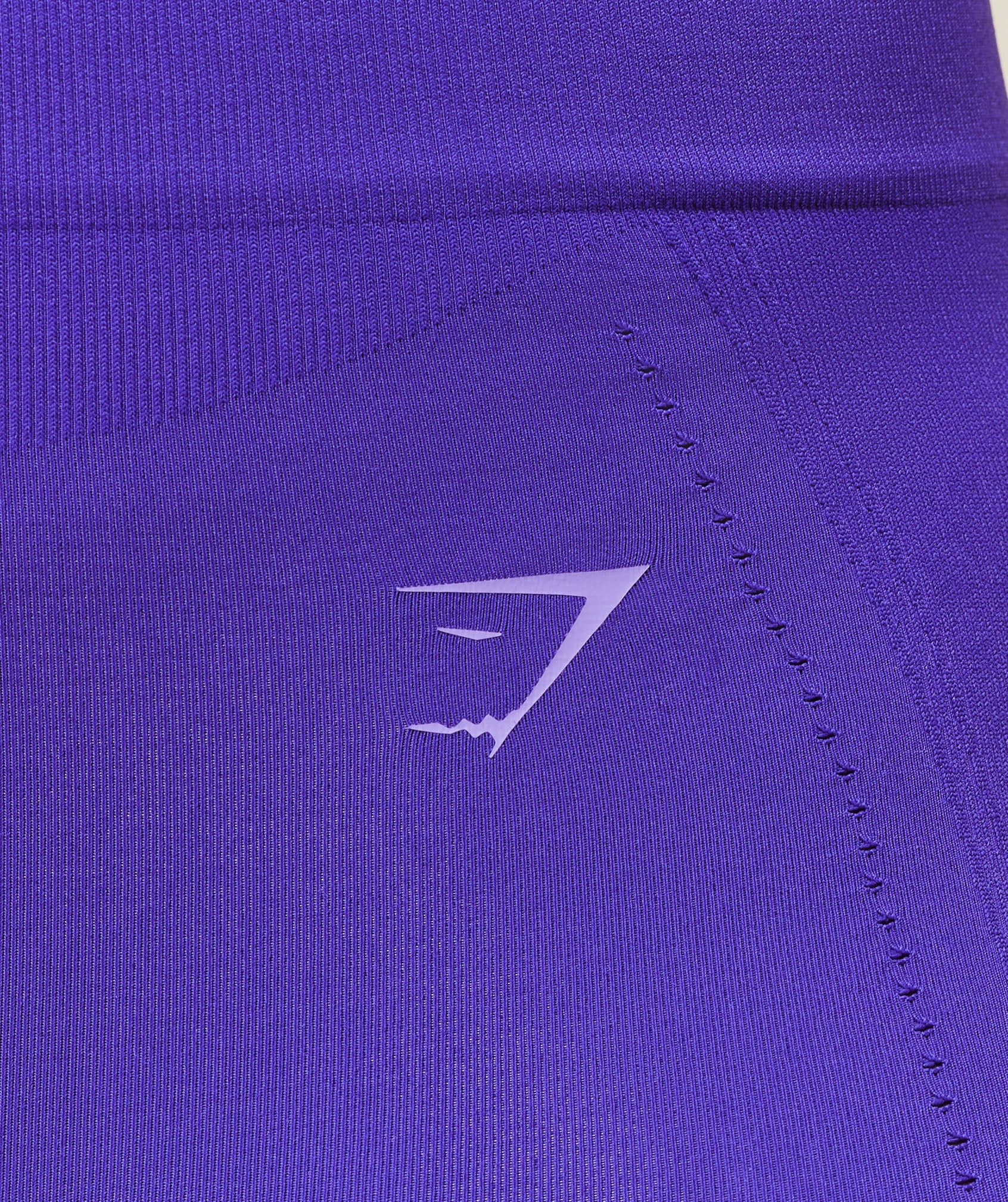Energised Seamless Shorts - Cobalt Purple