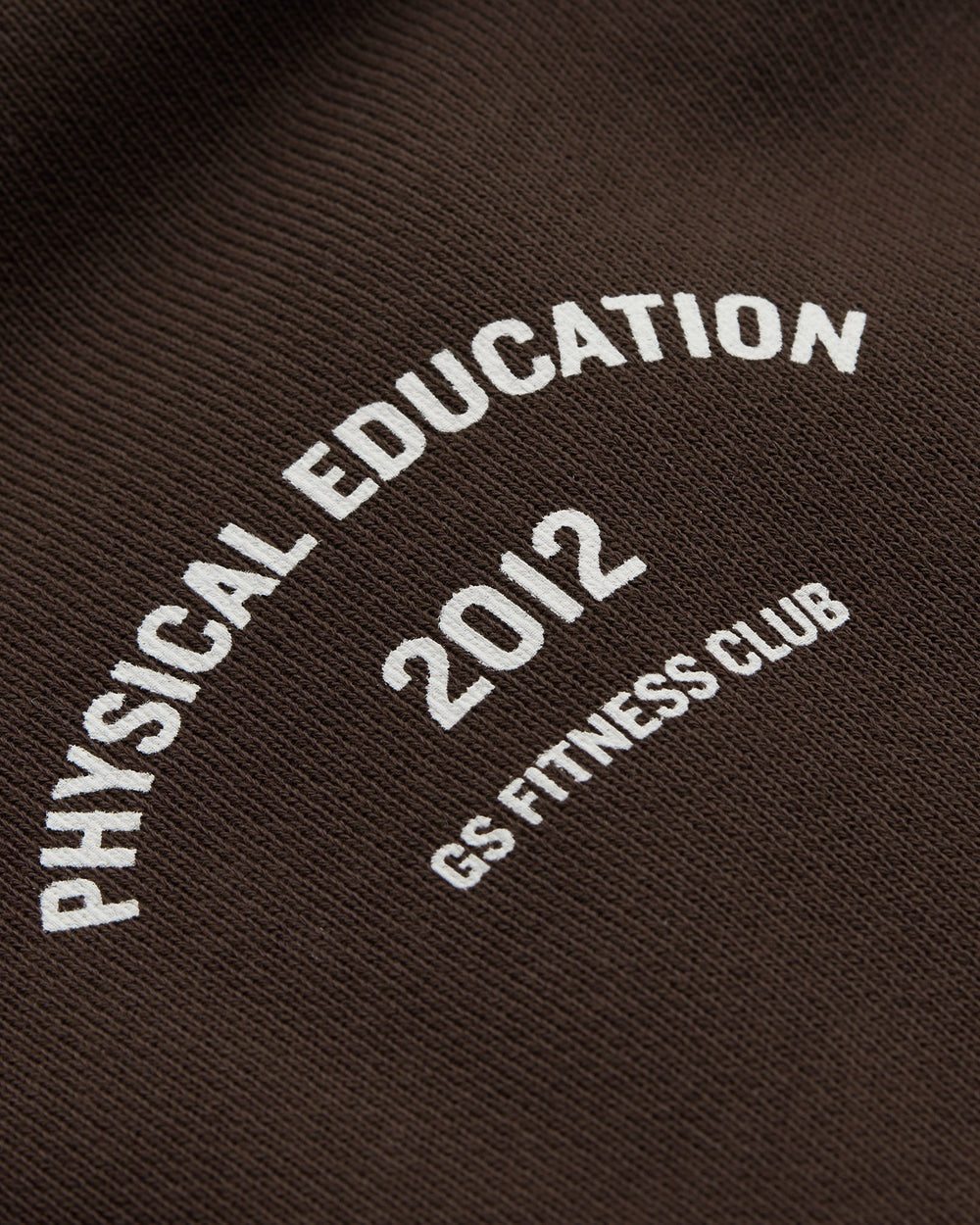 Phys Ed Graphic Hoodie - Archive Brown