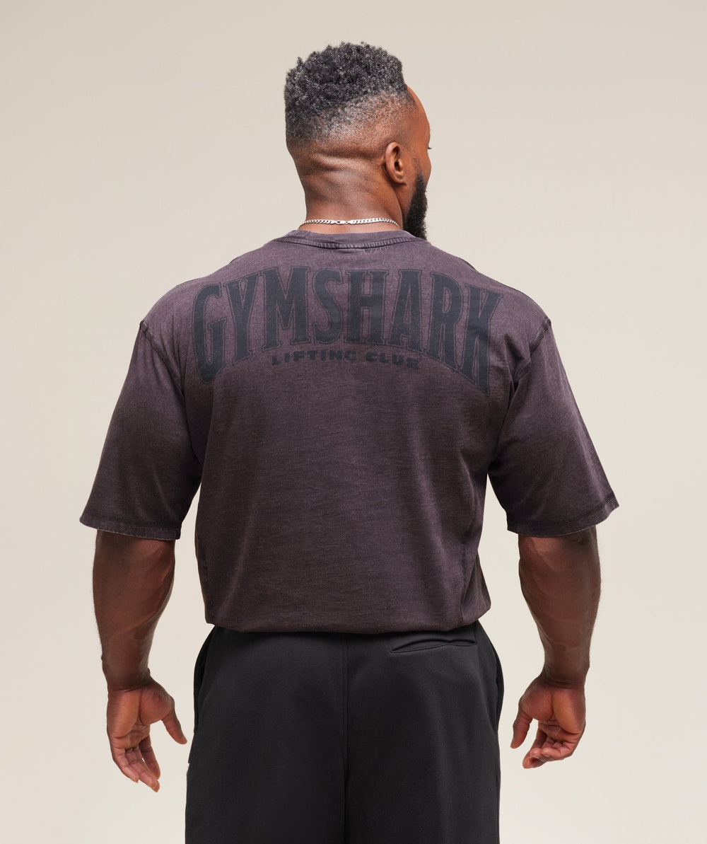 Heritage Washed T-Shirt - Plum Brown