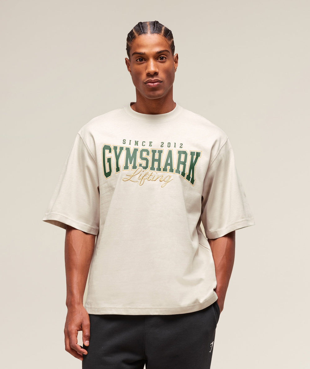 Lifting Essentials T-Shirt - Pebble Grey
