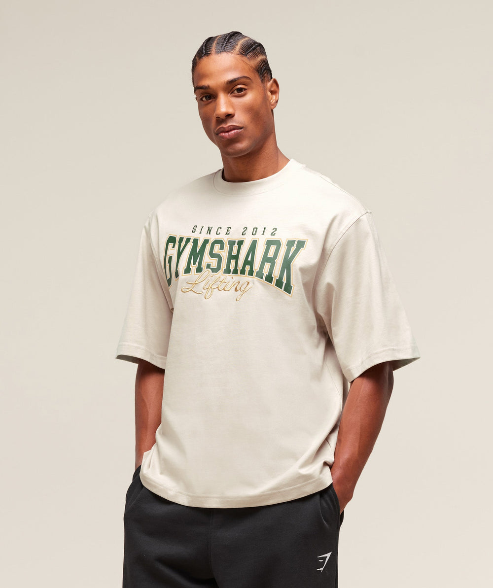 Lifting Essentials T-Shirt - Pebble Grey