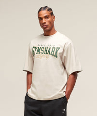 Lifting Essentials T-Shirt - Pebble Grey