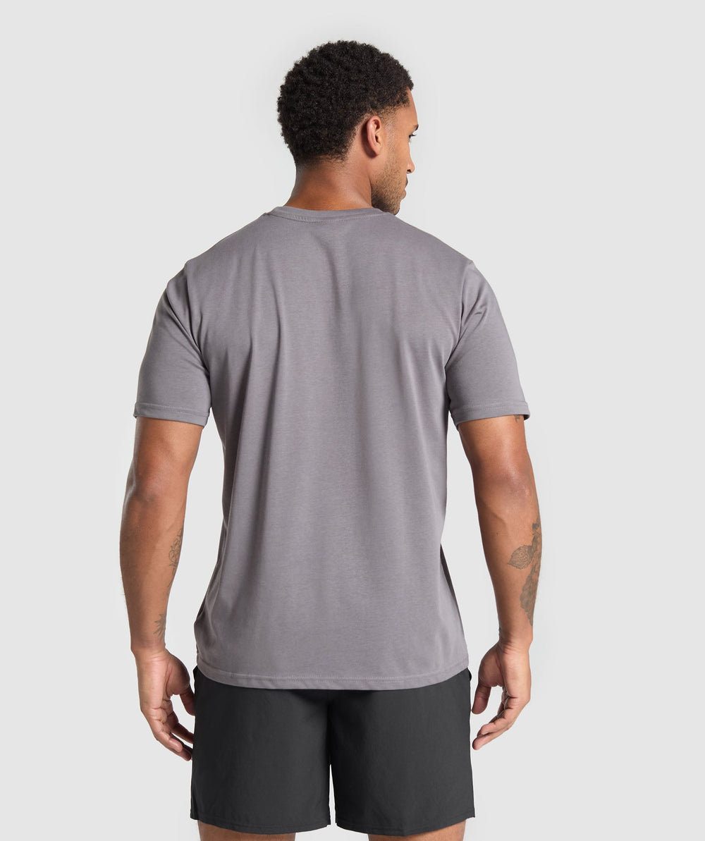Fitness Apparel Functional T-Shirt - Brushed Grey