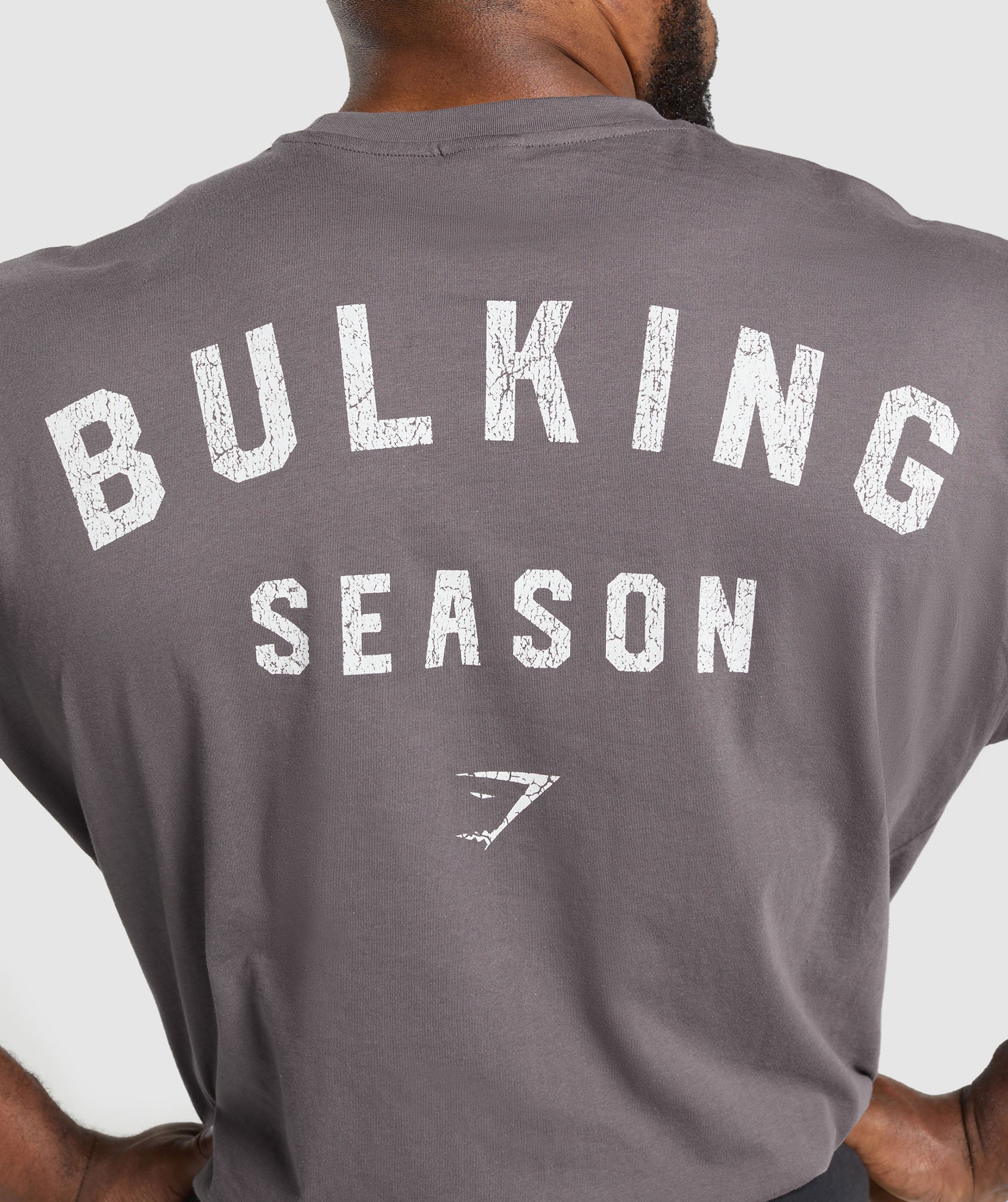 Bulking Season T-Shirt - Brushed Purple