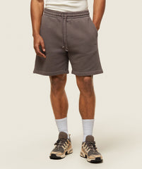 everywear Sweat Shorts - Archive Brown